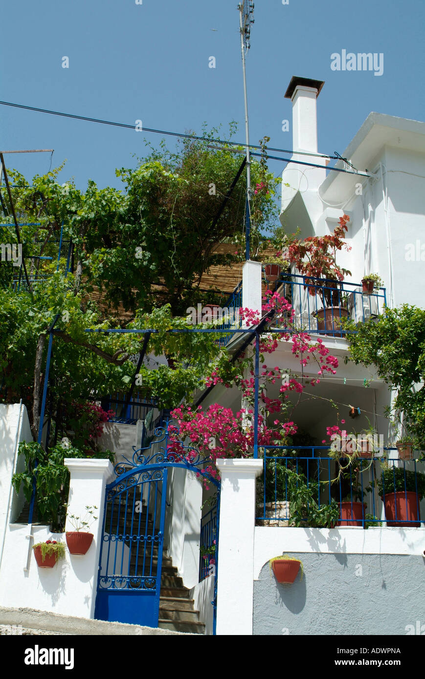 House with Bougainvillea and flowerpots in Kioni on Ithaca in Greece Stock Photo
