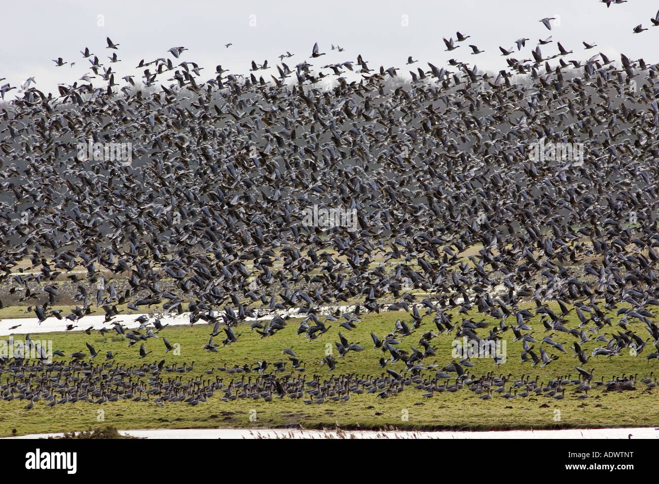 DELETE - temporary Stock Photo