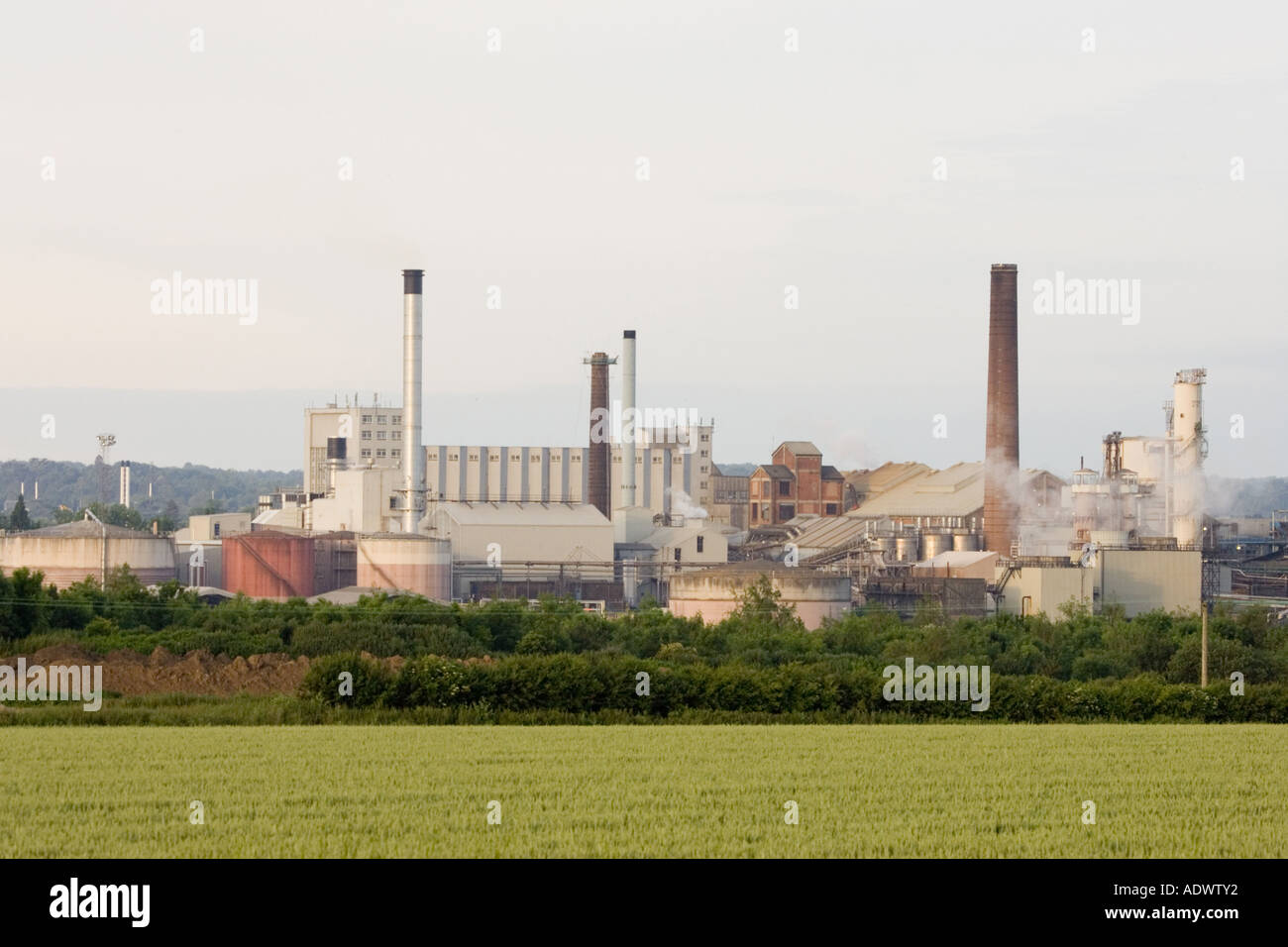 The sugar beet processing factory at Bury St Edmunds in Suffolk, UK Stock Photo