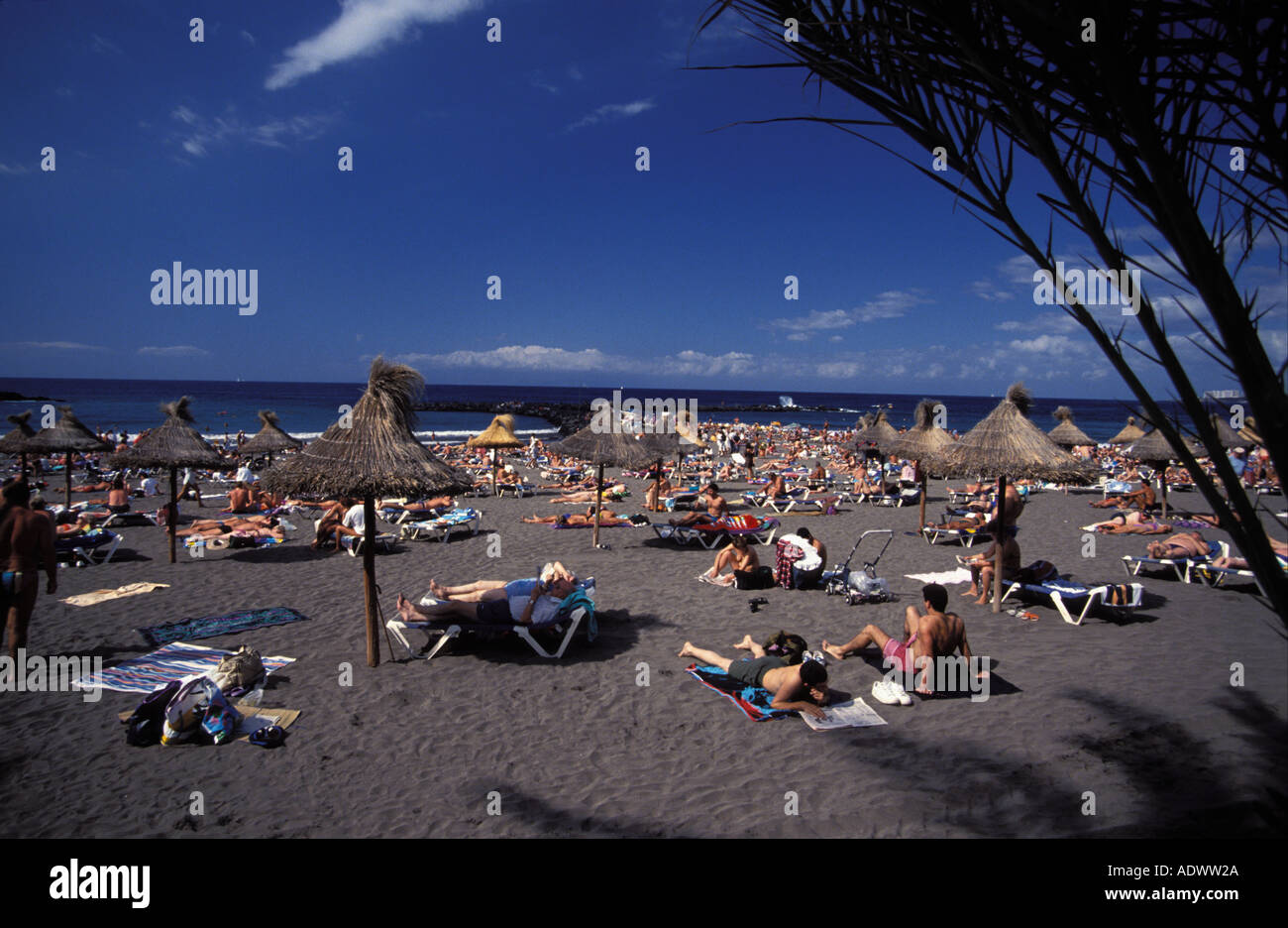 Tenerife beach Playa de los Americanos Stock Photo