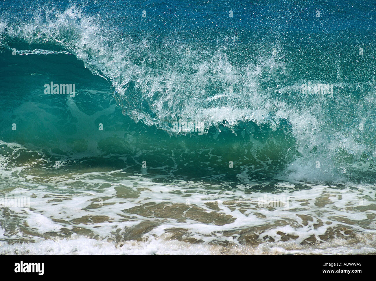 Usa hawaii maui waves hi-res stock photography and images - Alamy