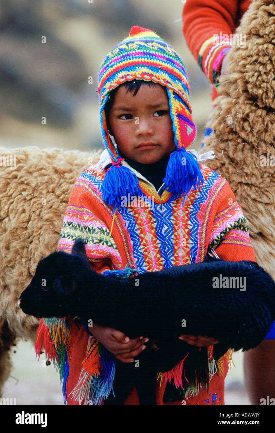 Peruvian boy carries black lamb Peru South America Stock Photo