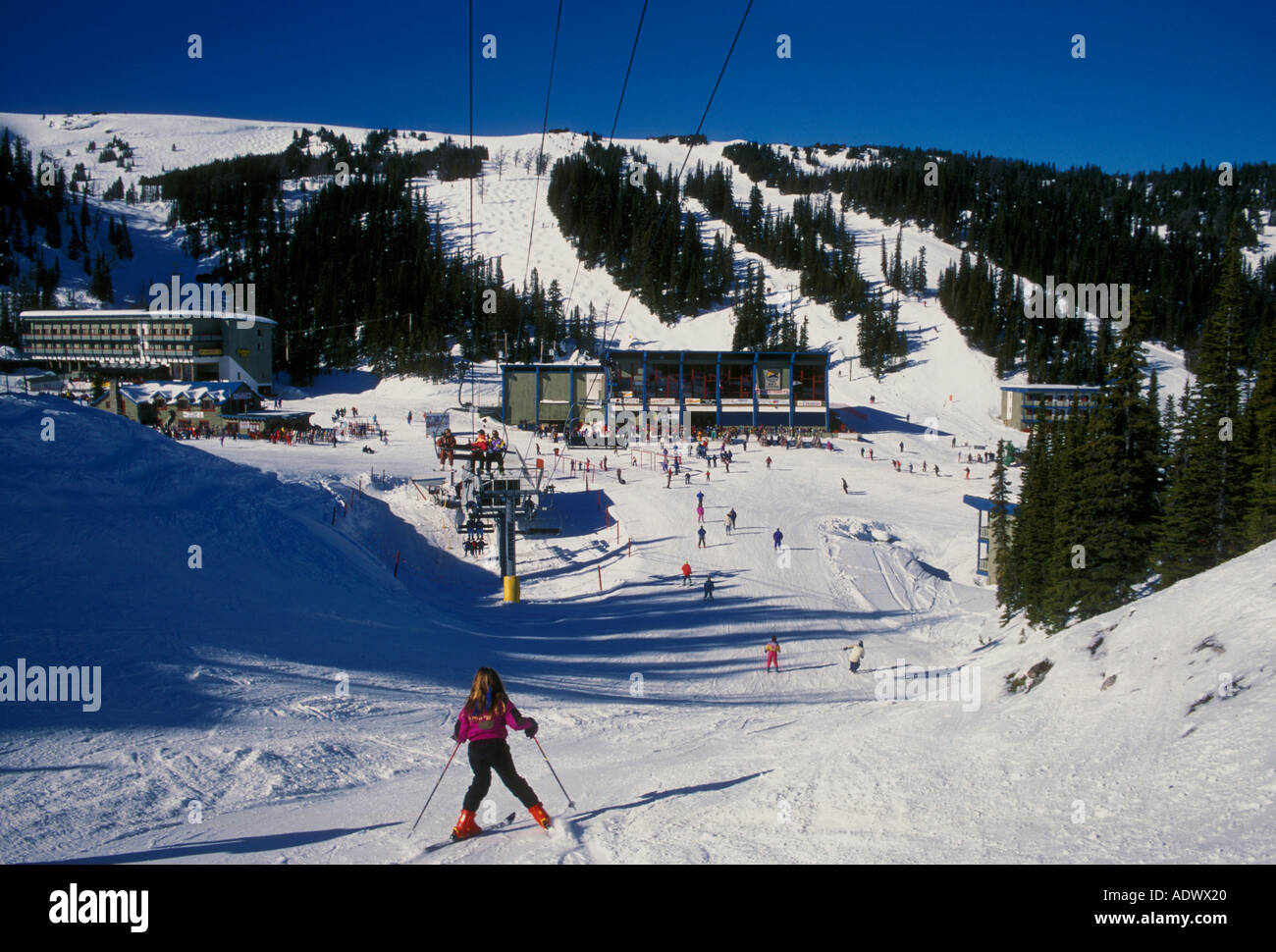 people, skier, skiers, skiing, downhill skiing, Goats Eye Mountain, ski