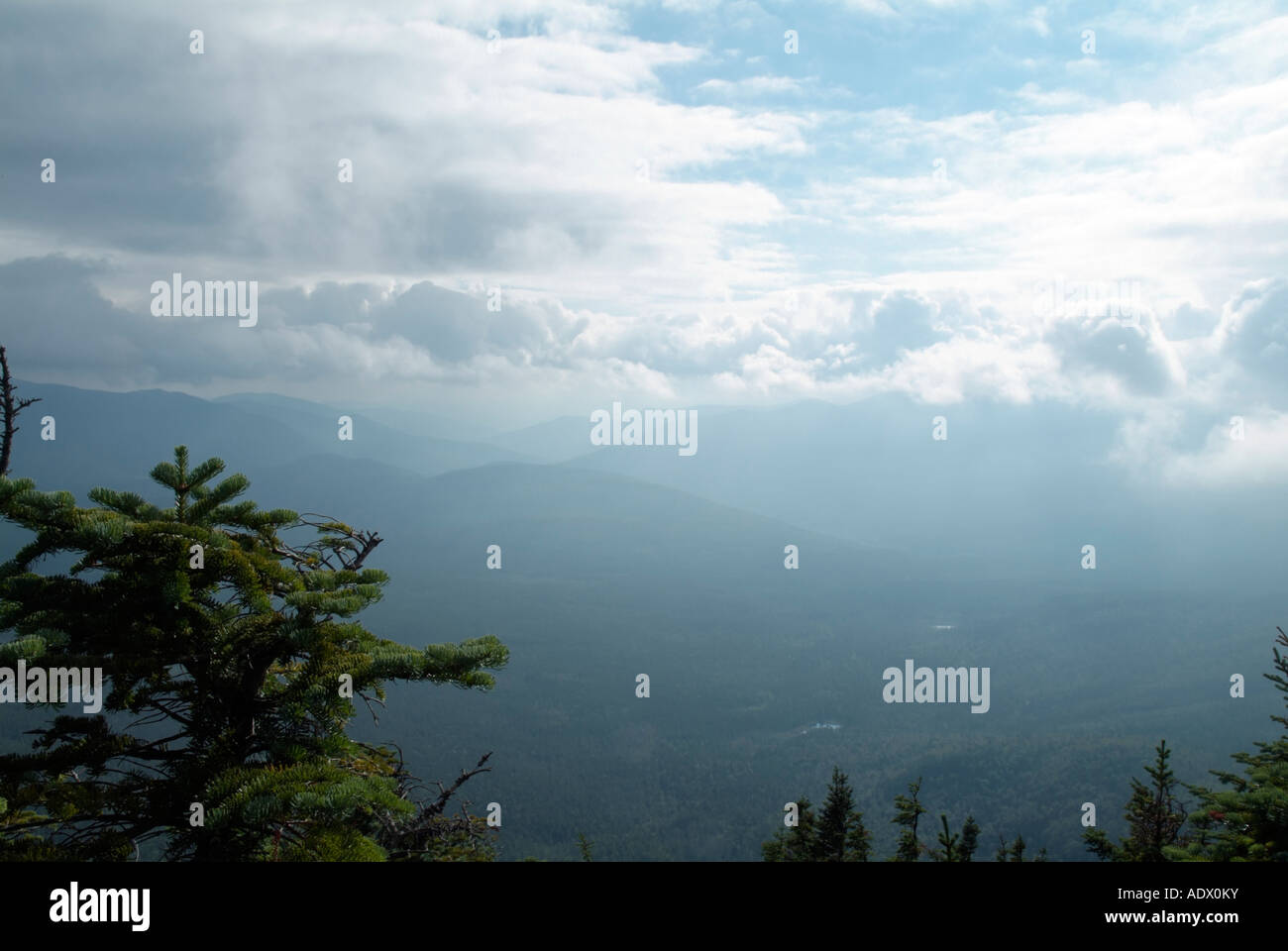 Willey Range Trail , White Mountains New Hampshire USA Stock Photo Alamy