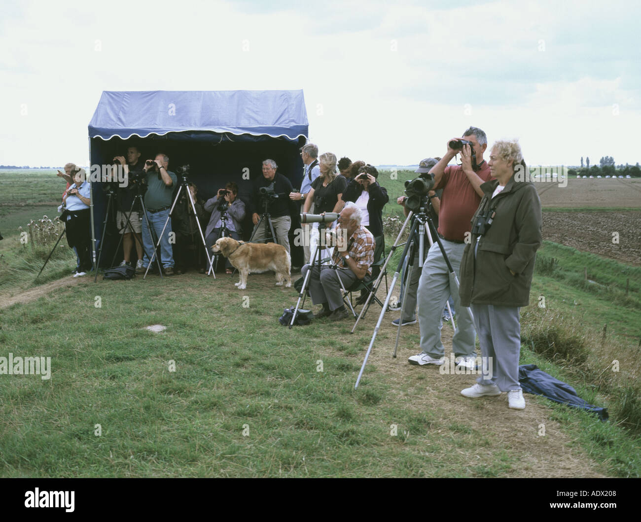 Lincolnshire UK Frampton marshes birdwatchers at a Montagu Harrier sighting Aug 2004 Stock Photo