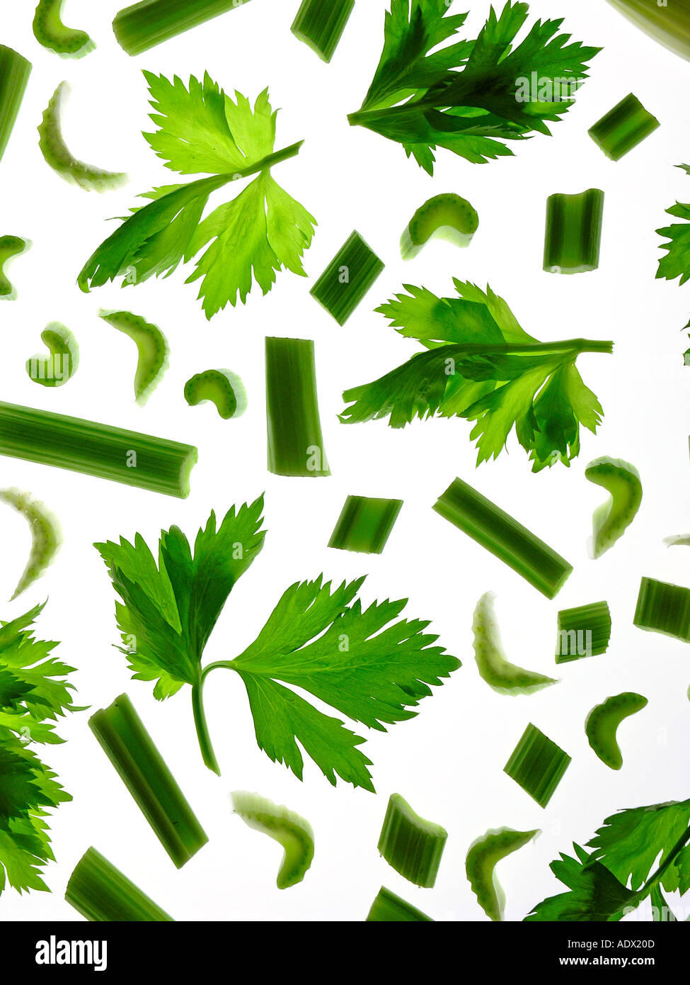 Celery Stock Photo