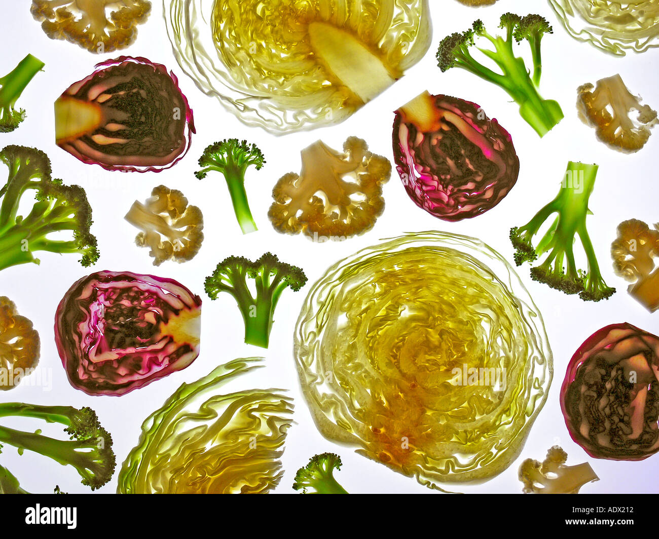Assorted cabbages Stock Photo
