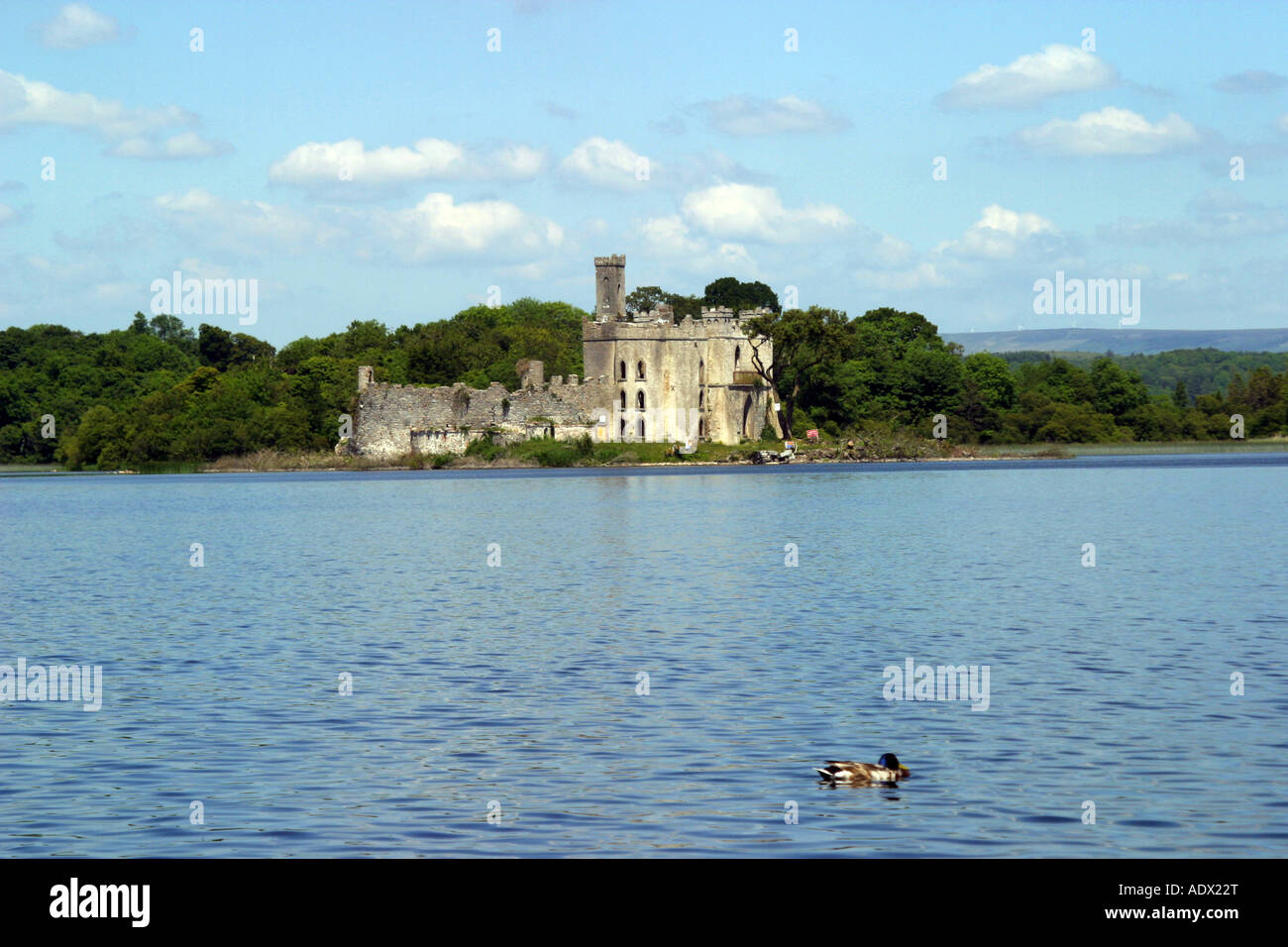 Castle Island Lough Key forest park Ireland Stock Photo 13504319 Alamy