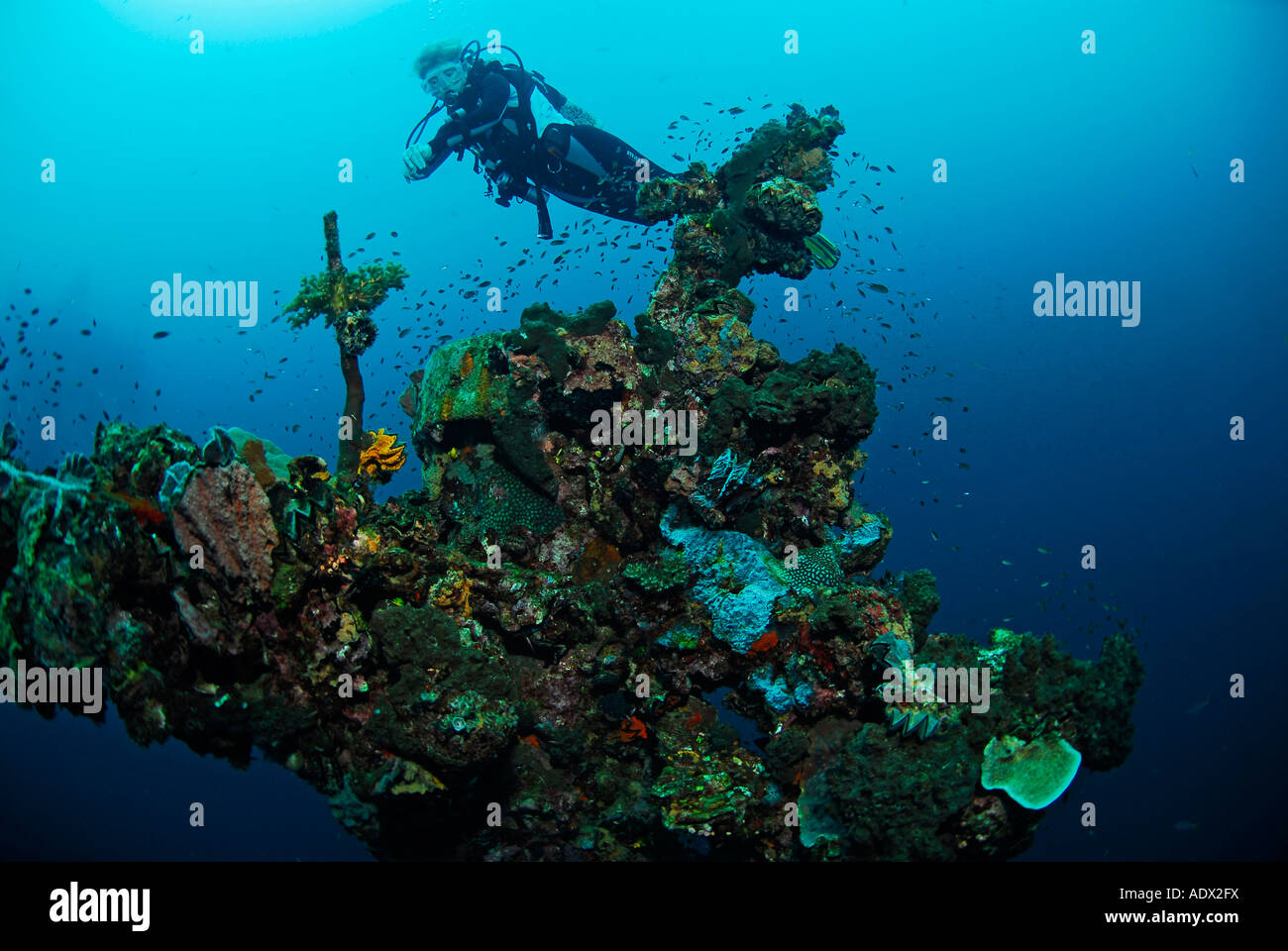 Diver at shipwreck Pacific Philippines Stock Photo