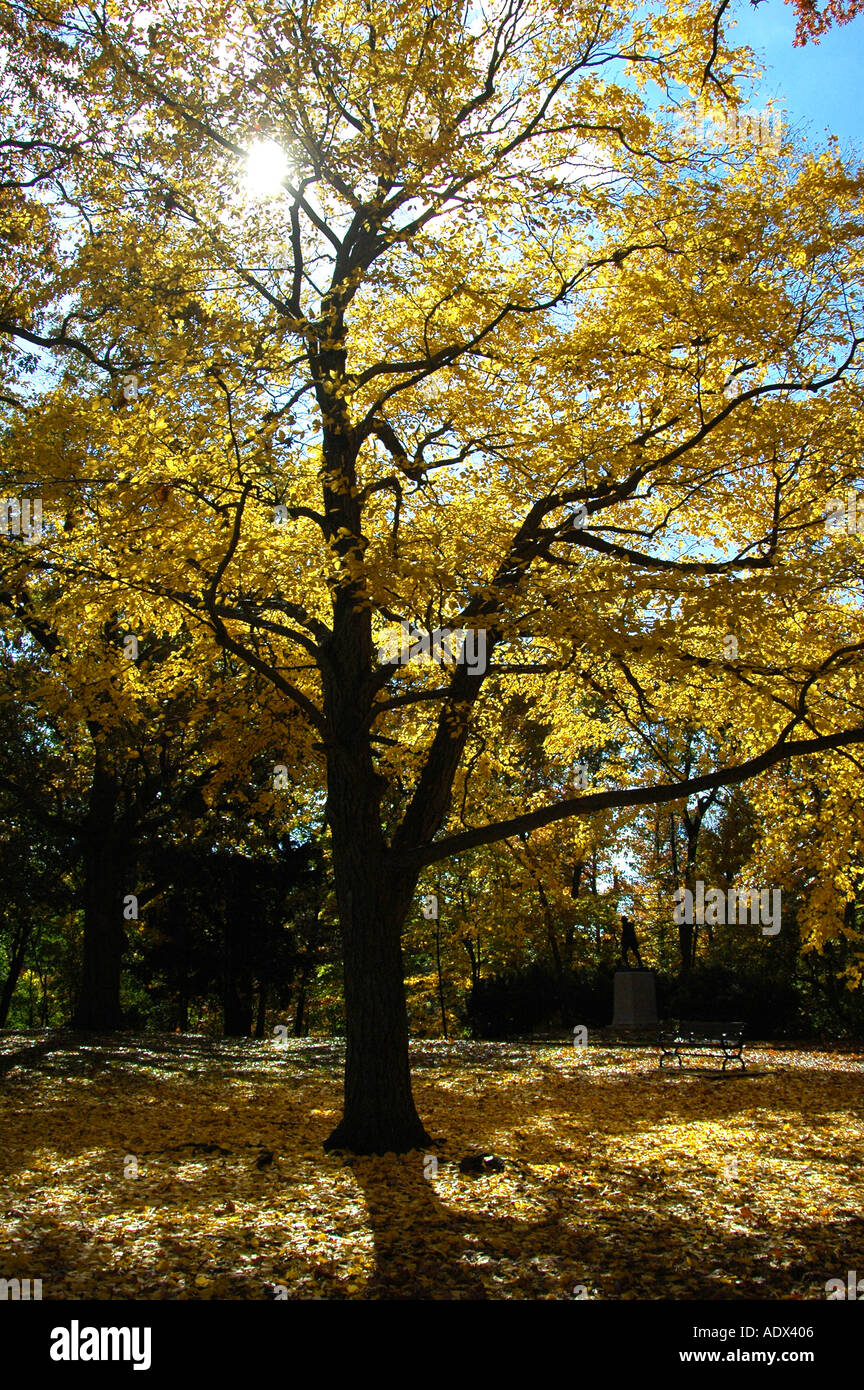 New england fall colors hi-res stock photography and images - Alamy