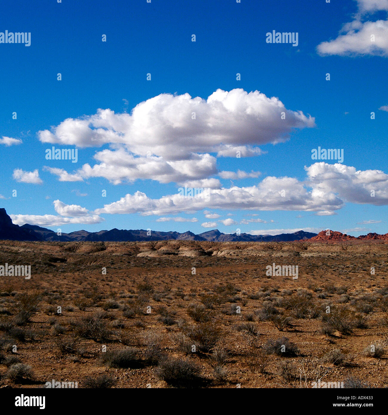 My Image 15