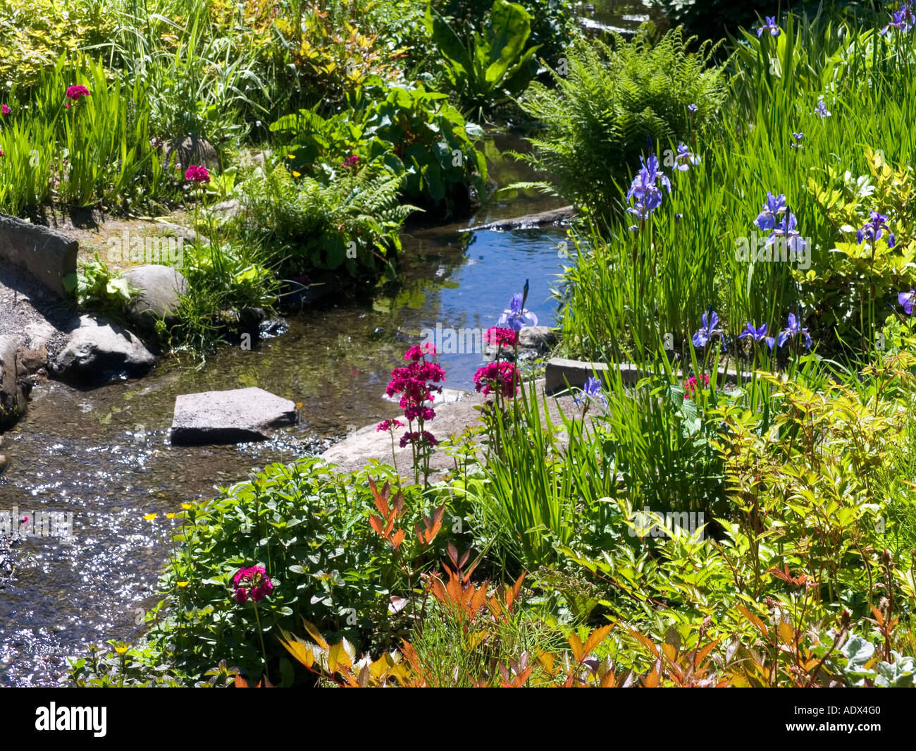 Flowers water gardens rockery hires stock photography and images Alamy