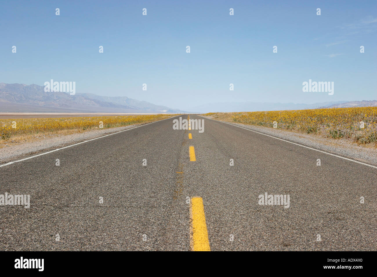 wide width wedge heels