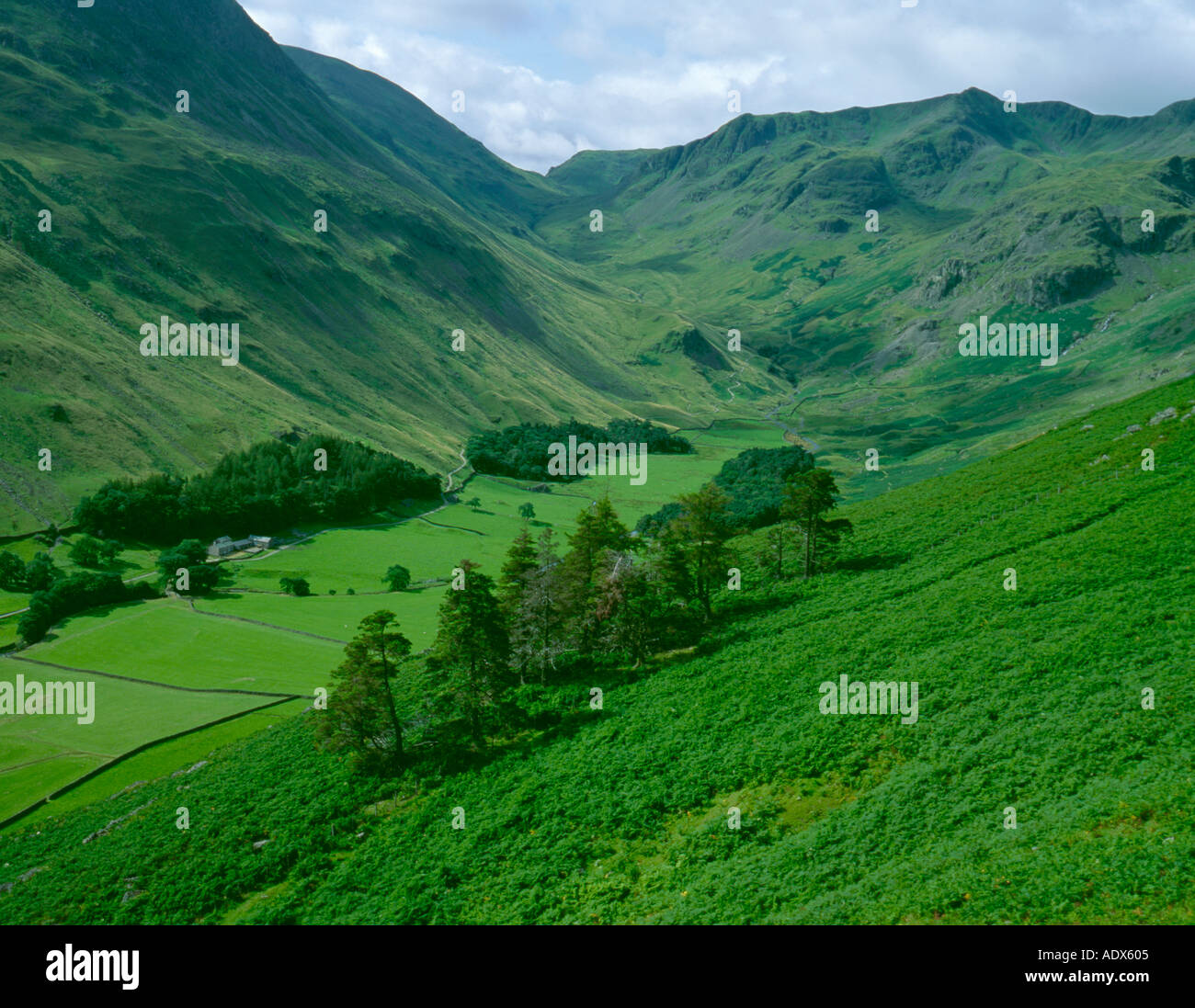 A classic glacially eroded valley; Grisedale, near Patterdale, Lake District National Park, Cumbria, England, UK. Stock Photo