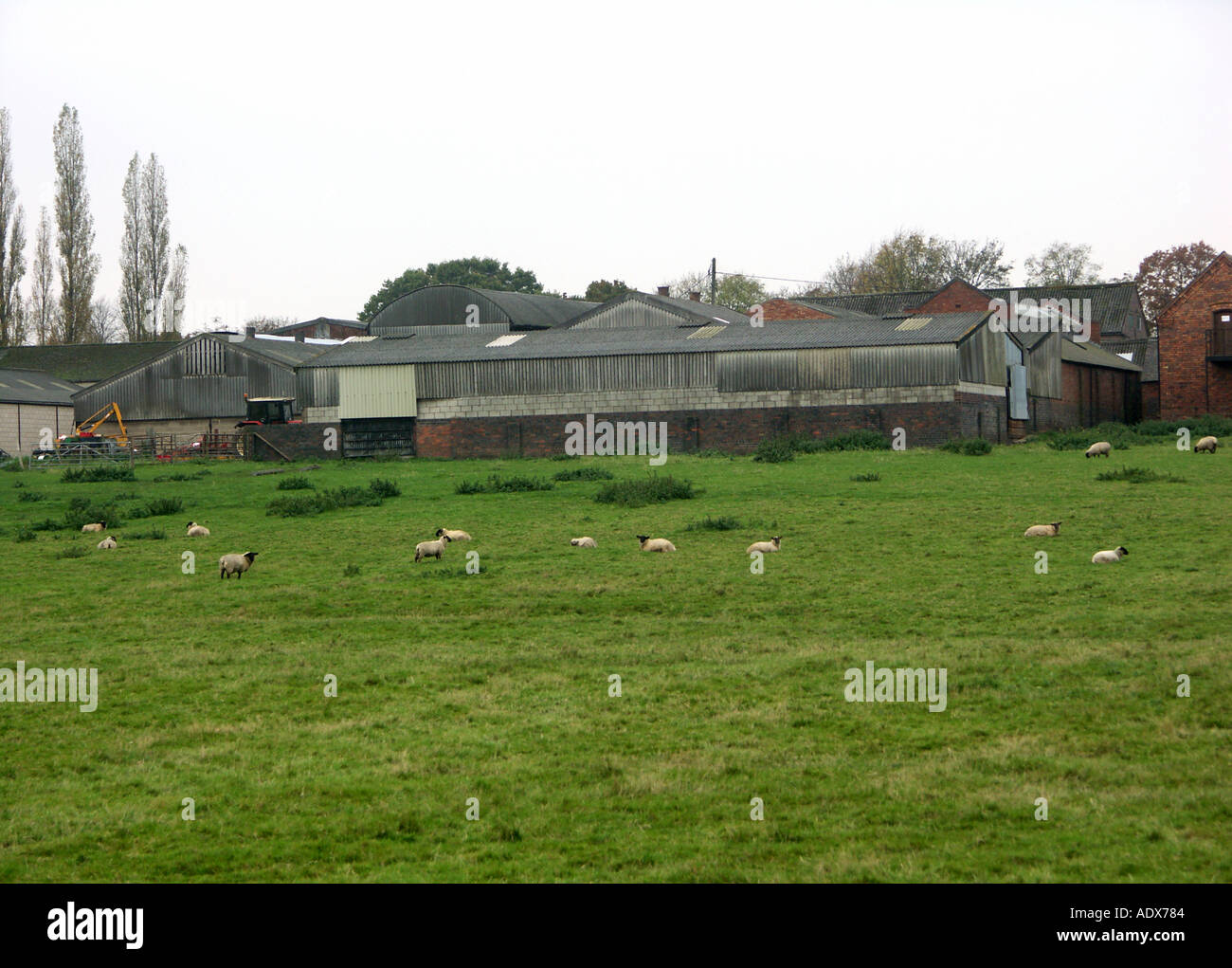 View of farm Drayton Bassett Stock Photo Alamy