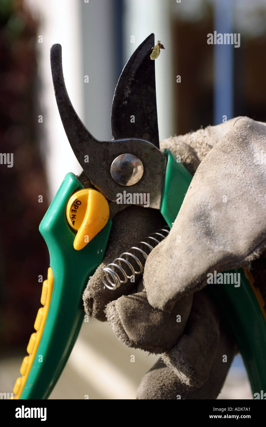 Secator hi-res stock photography and images - Alamy