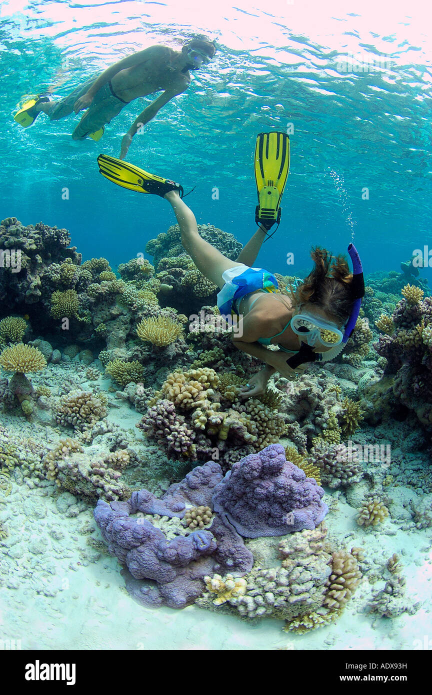 Snorkeling At Tahiti Tuau Atoll Tuamotu Islands French Polynesia Stock Photo Alamy