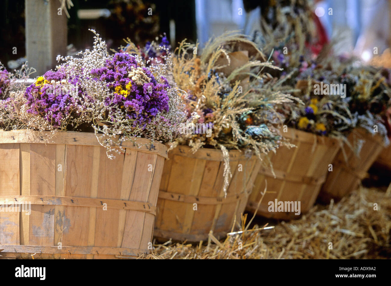 Baskets of herbs  Stock Photo