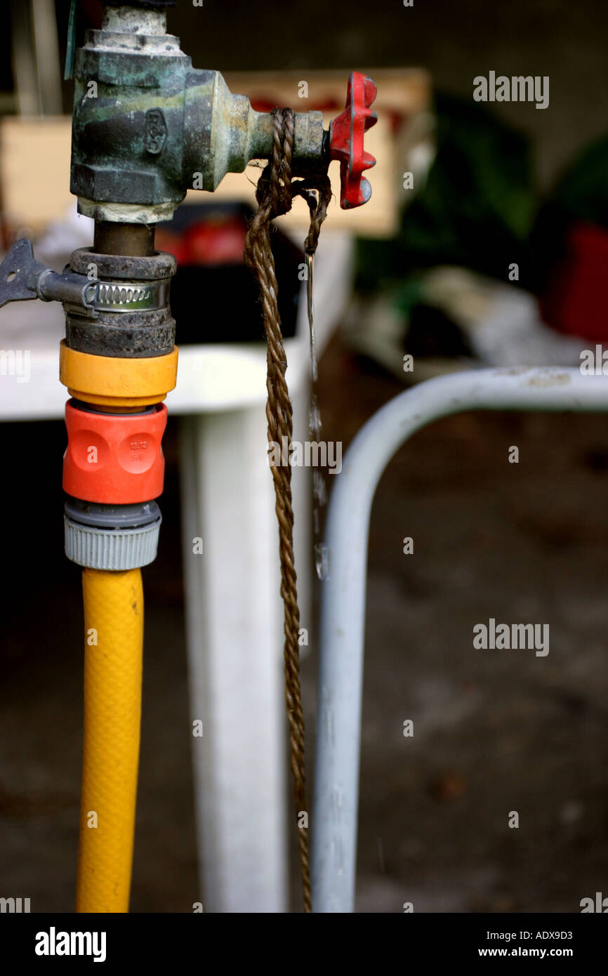 Hose pipe tap water plants hires stock photography and images Alamy