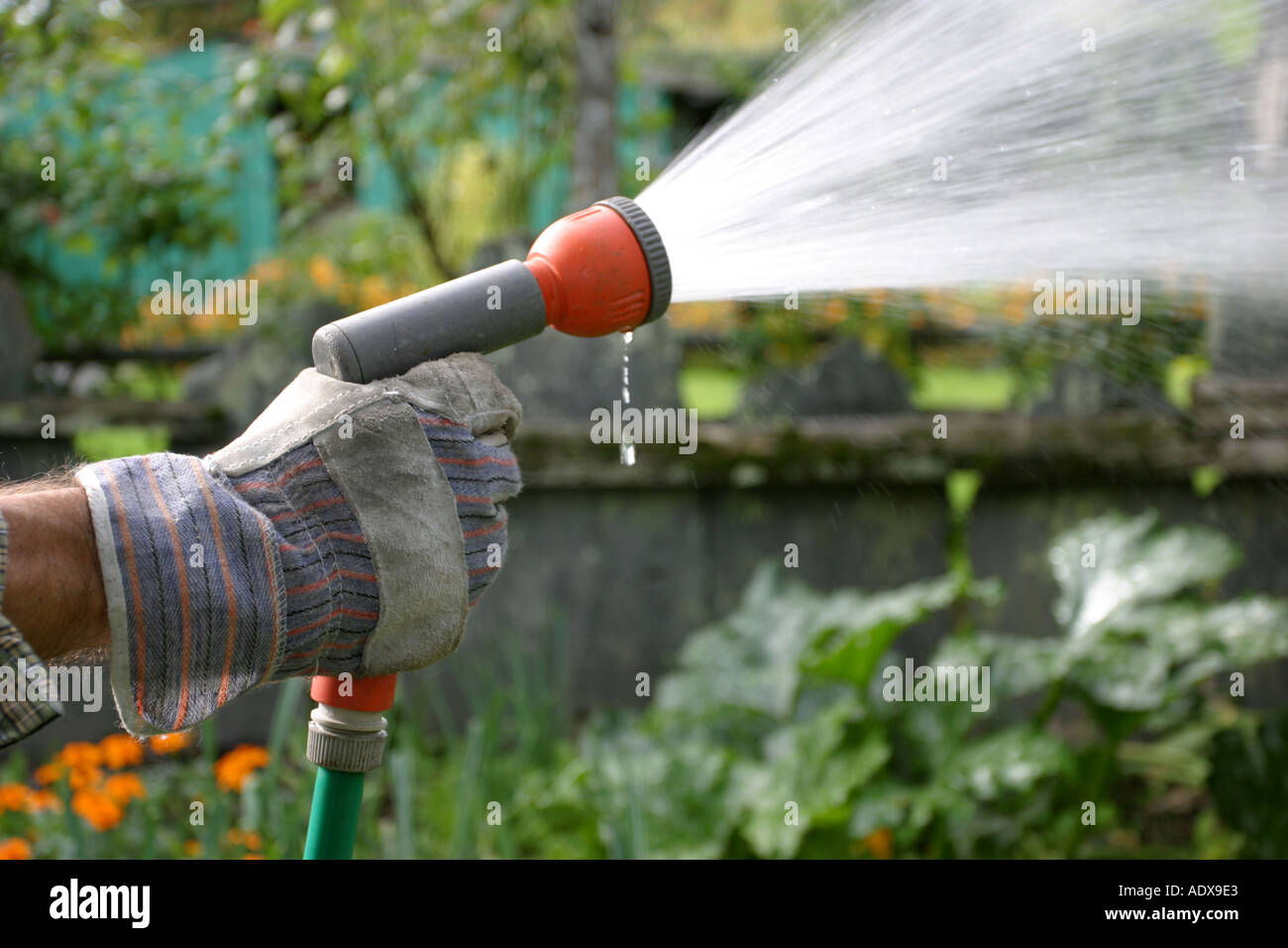 Hand Spraying a Garden Hose Stock Photo Alamy