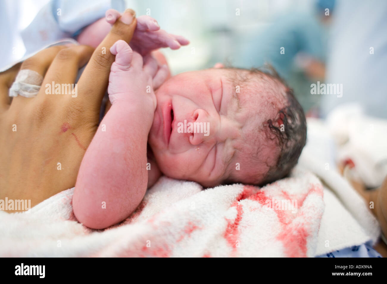 New born baby boy Stock Photo