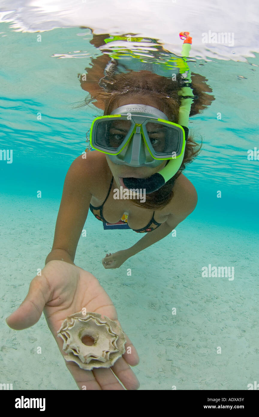Snorkeling at Bora Bora Society Islands French Polynesia Stock Photo