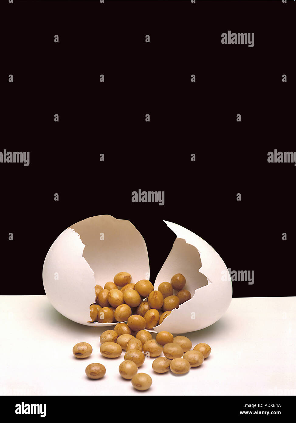 Concepts egg eggs egshells eggshell cracked hatched peanuts ...