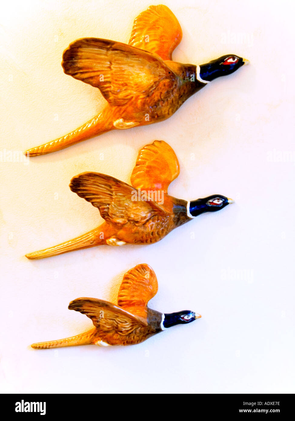 FLYING DUCKS ON A WALL Stock Photo