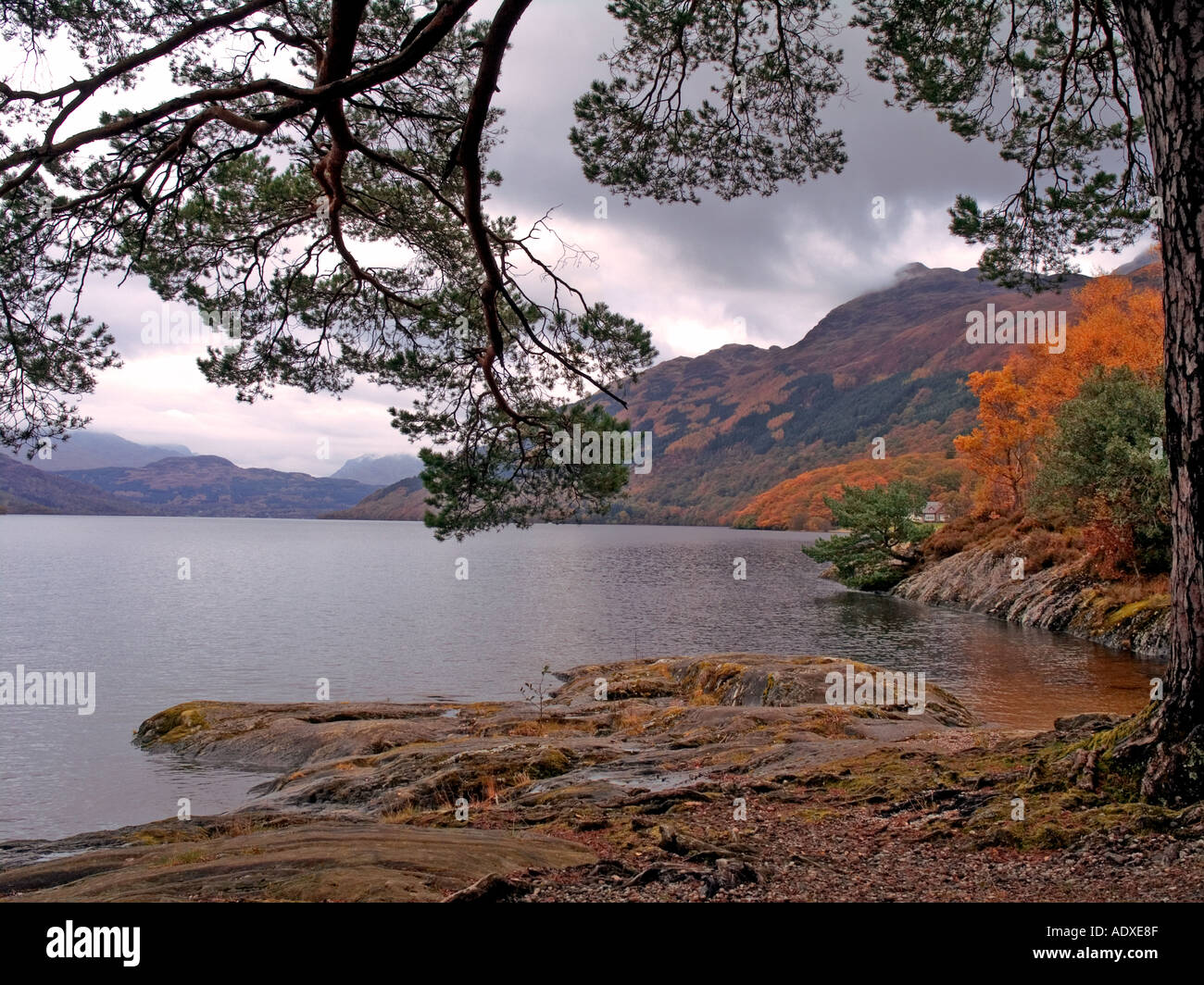 LOCH LOMOND AT ROWARDENNAN IN AUTUMN Stock Photo