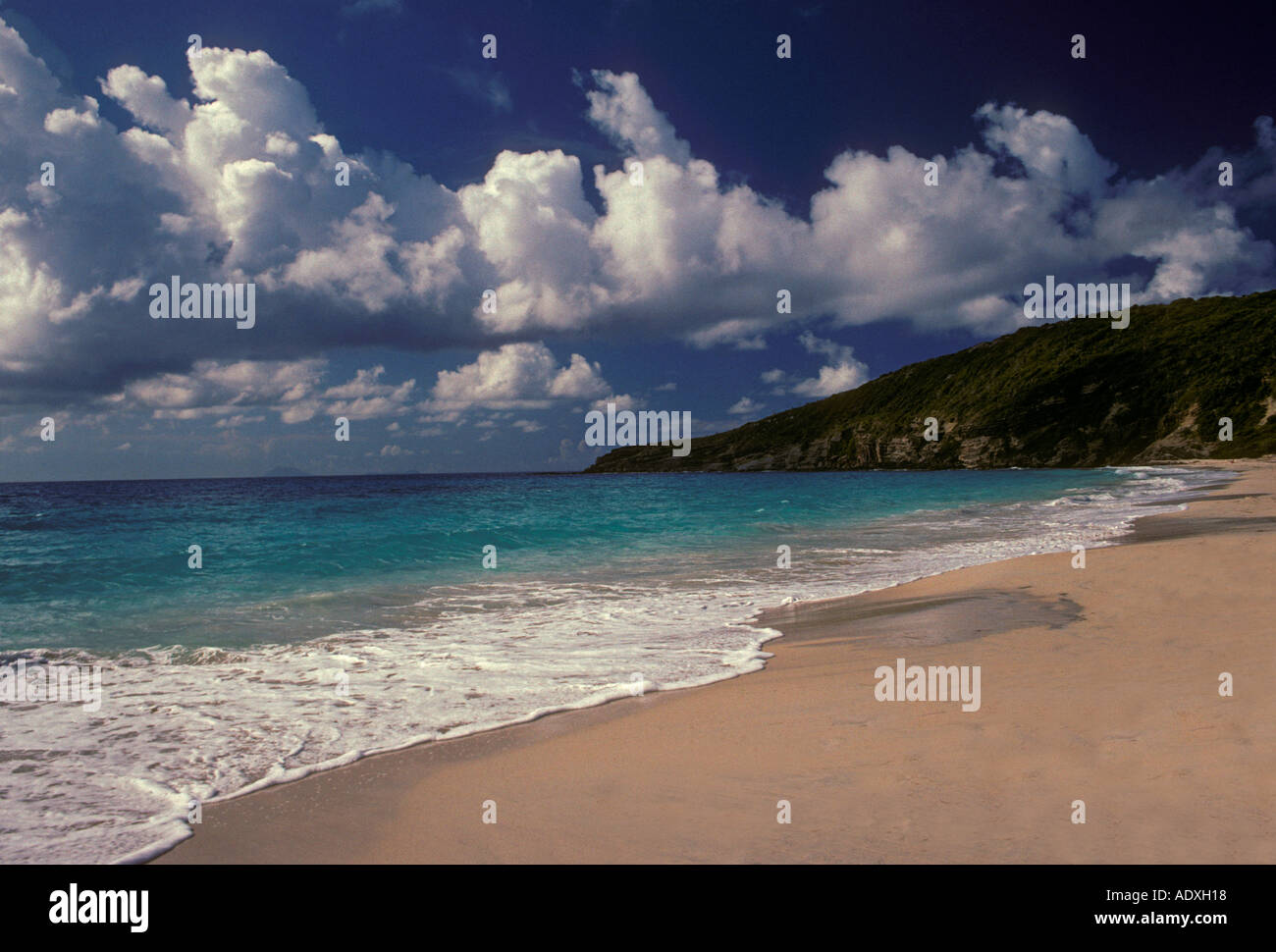 beach, Anse de Grande Saline, Saint Barthelemy, St Barts, Caribbean, French West Indies, France Stock Photo