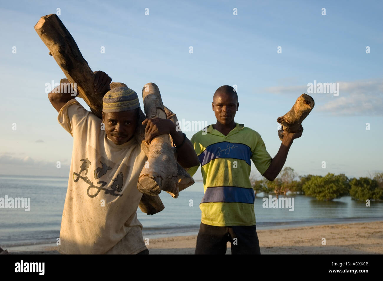 Two young men unloading a dhow on the Indian Ocean Africa Mozambique that was carrying a load of firewood Stock Photo