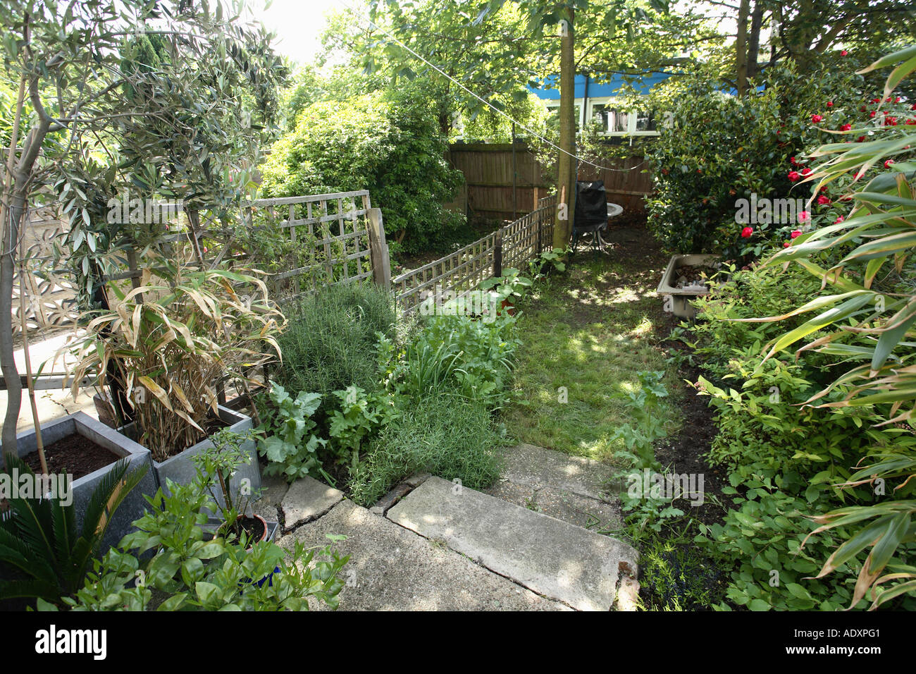 Victorian Terrace Garden Inspirations | That Was Junk Auto