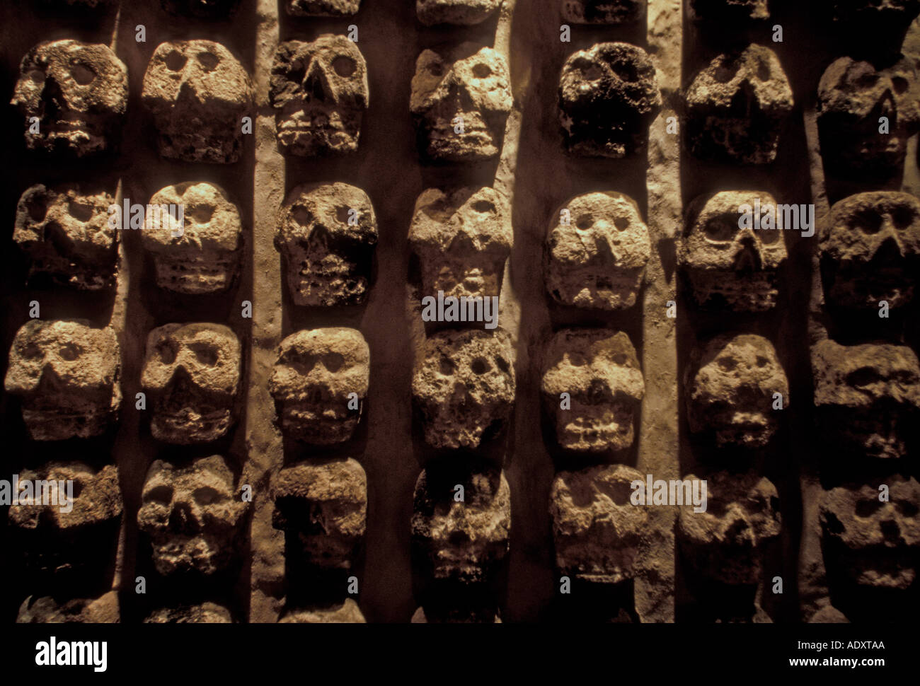 Tzompantli, skull rack, altar, Museo del Templo Mayor, Mexico City, Federal District, Mexico Stock Photo