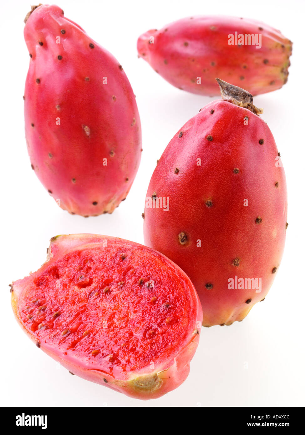 PRICKLY PEAR CACTUS PEAR Stock Photo