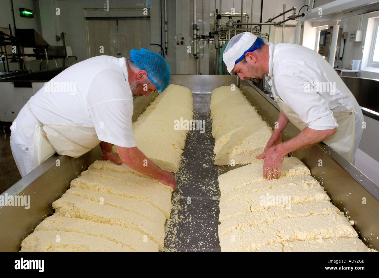 Splitting the curd and draining off the whey to make Traditional