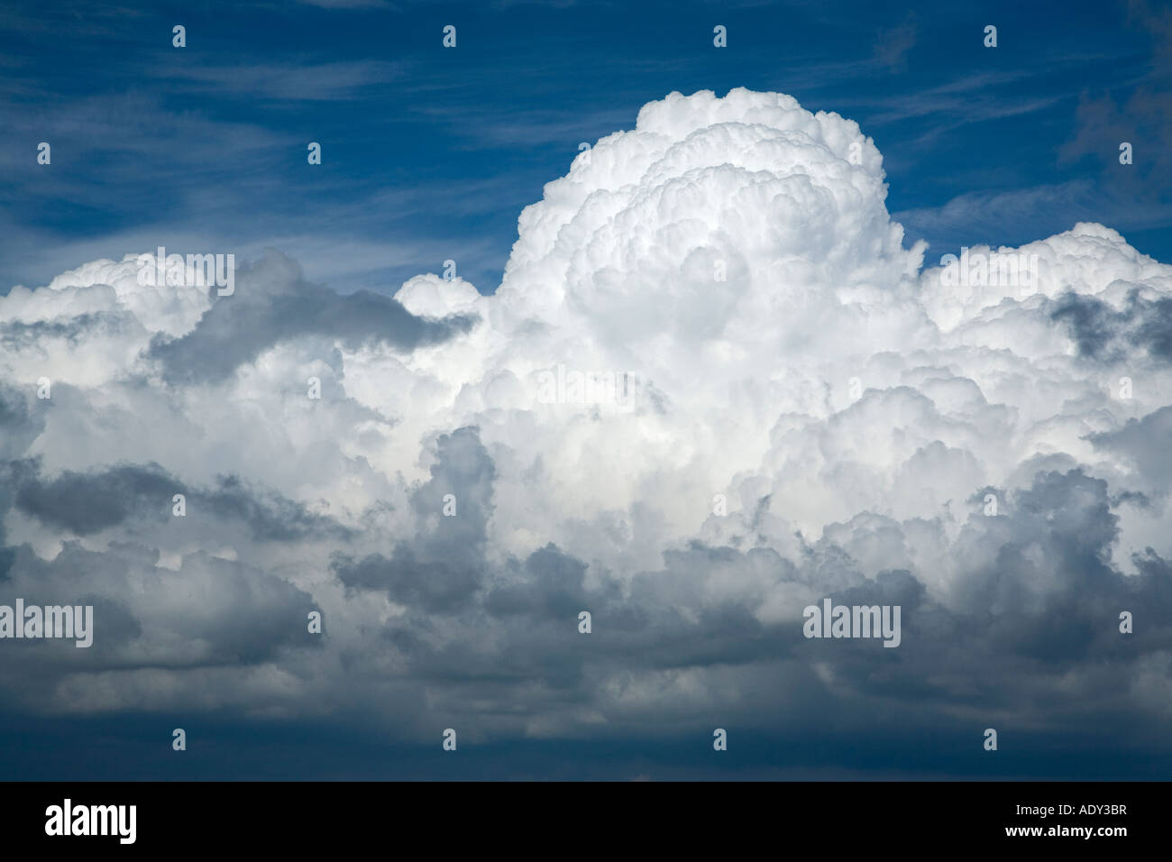 Expanding cumulonimbus cloud formation against a blue sky above Stock Photo