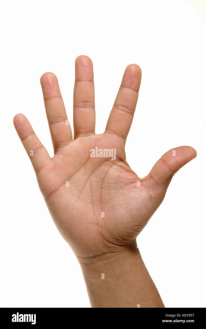 Five Fingers Stock Photos - 100,620 Images