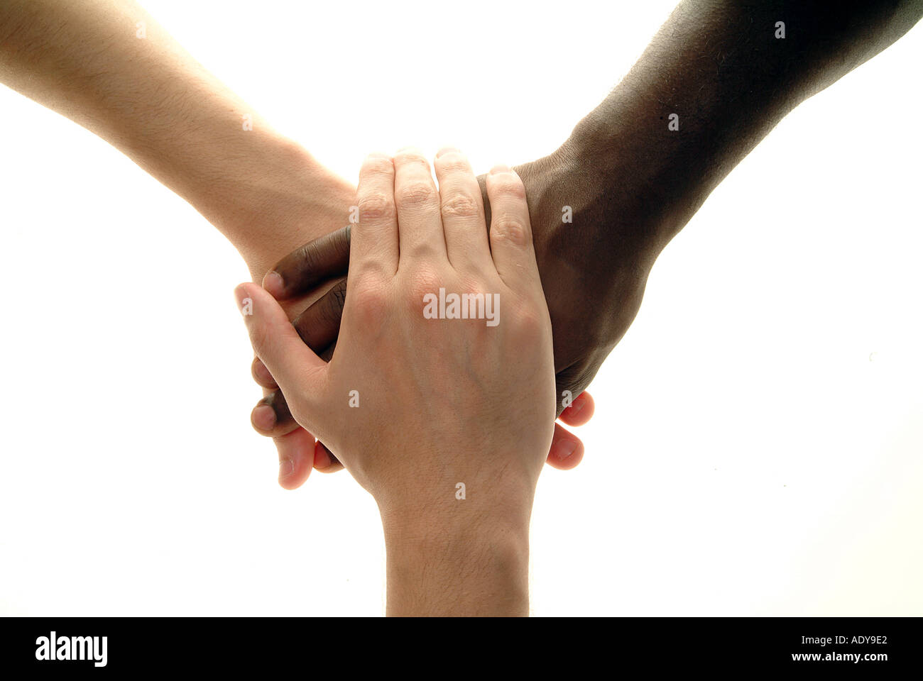 Hands hand hands finger three 3 group hold holding held grab grabing