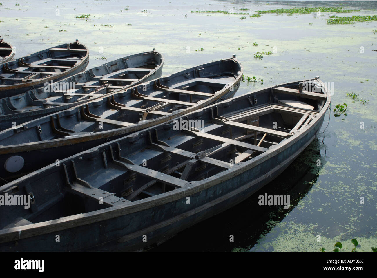 rowingbot's in boat house- parkking place akkulam lake kerala Stock Photo