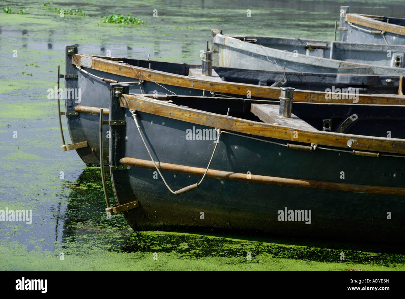 rowingbot's in boat house- parkking place akkulam lake kerala Stock Photo