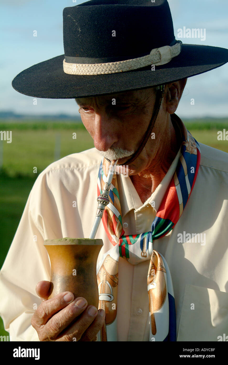 Rio Grande do Sul chimarrao cuia bomba straw gaucho herbal tea