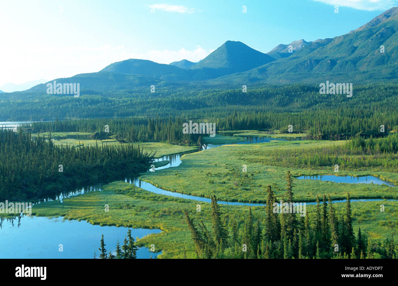 tok alaska usa