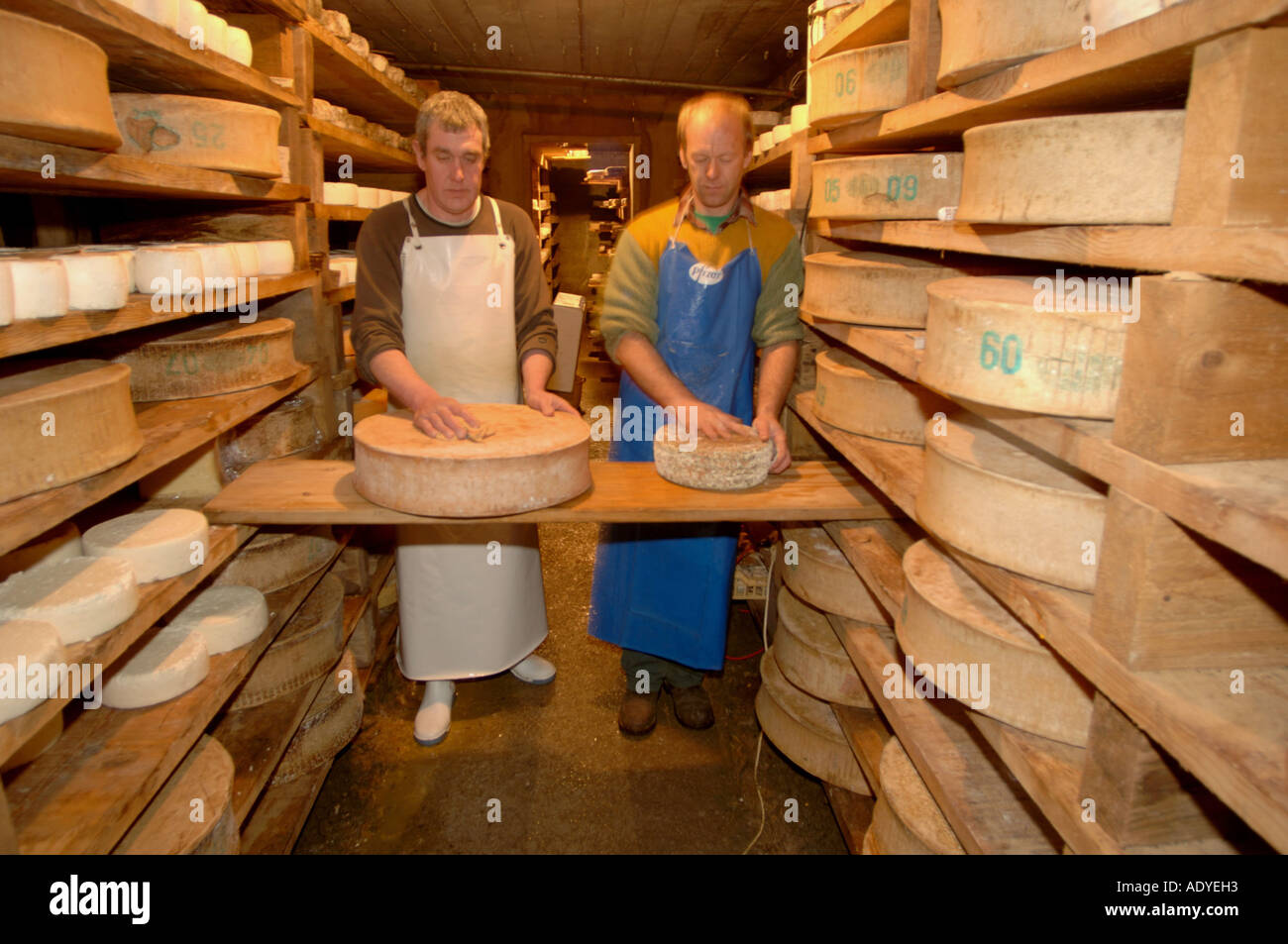 Cheesemaker at work in a cheese cave hires stock photography and