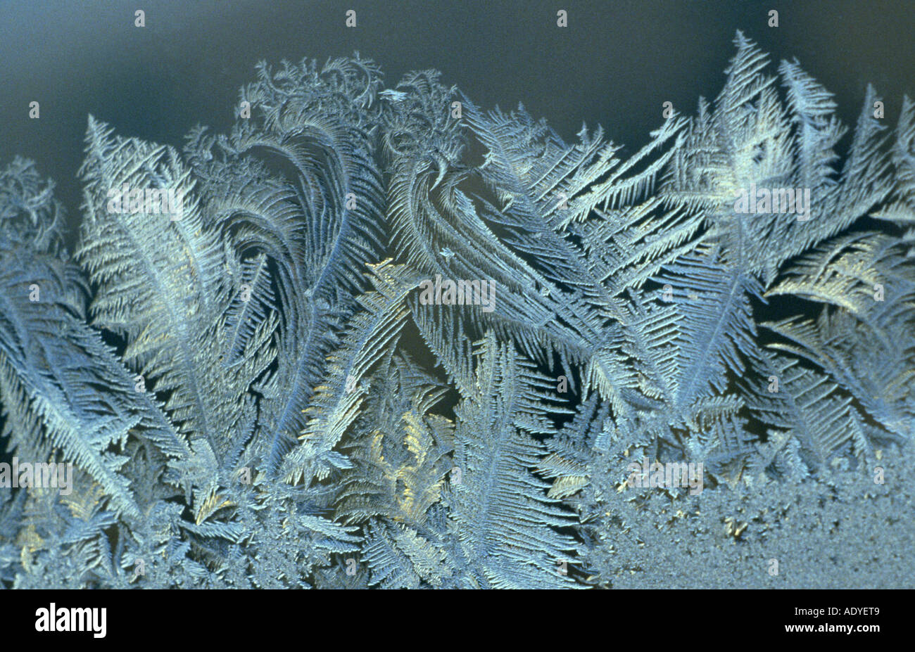 frost work on a window, Germany Stock Photo - Alamy