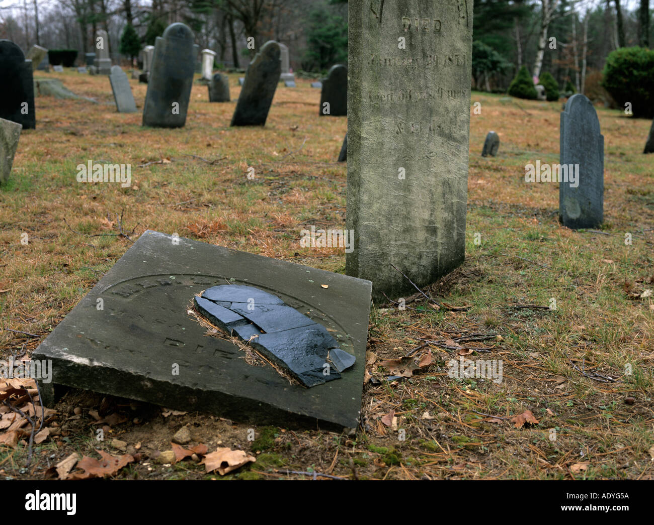 Broken and forgotten headstones in an New England graveyard Stock Photo ...