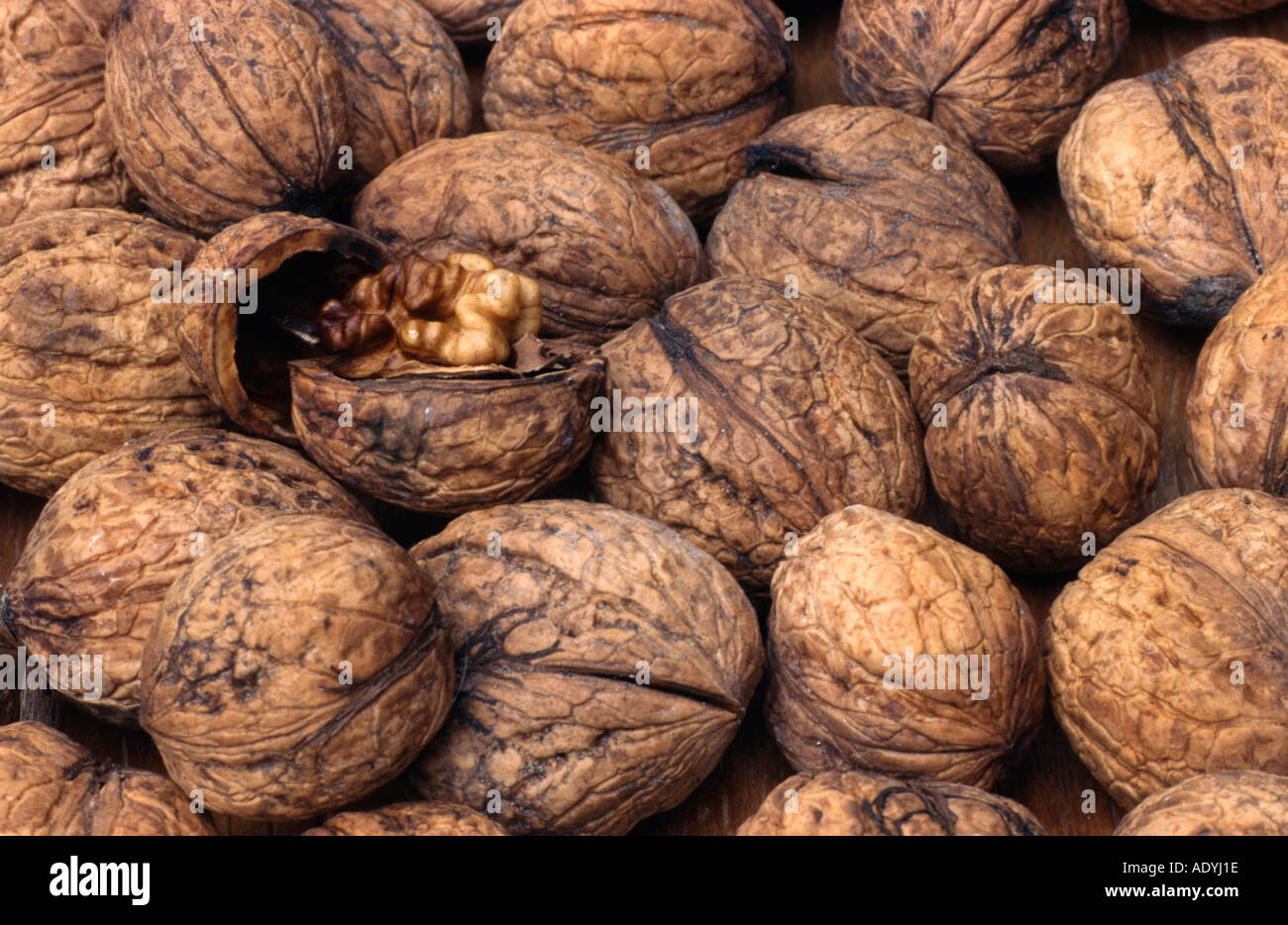 walnut (Juglans regia), mature fruits. Stock Photo