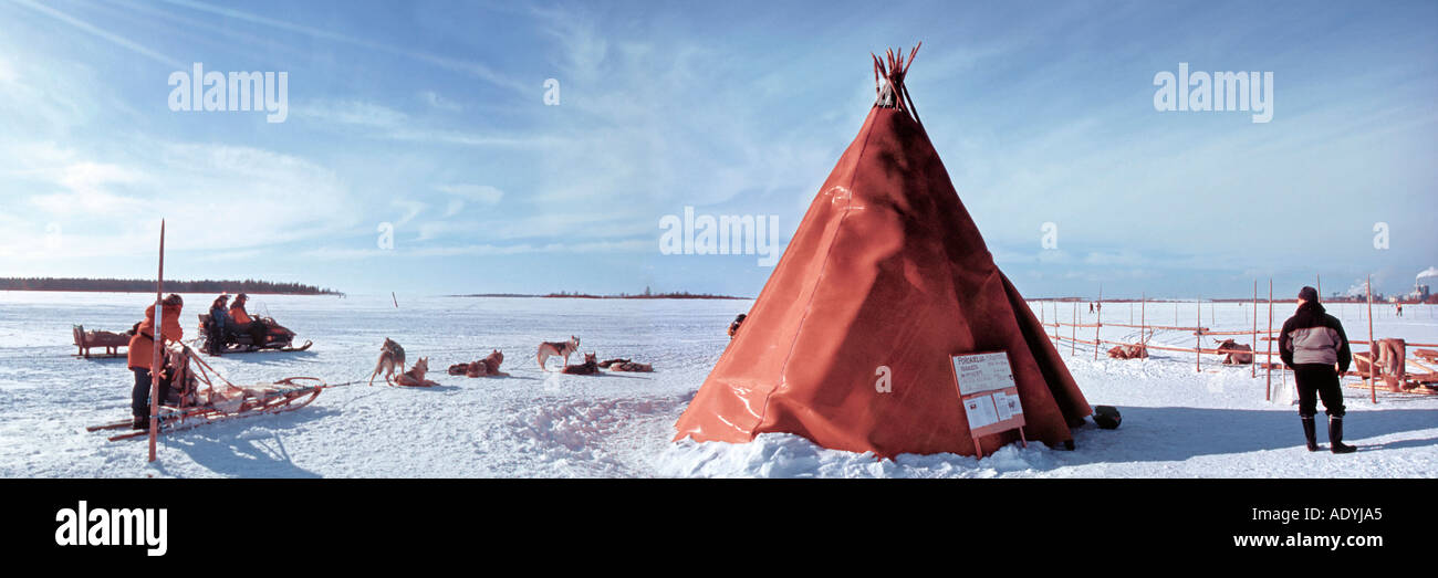 Sami tend with dog sledge, in winter scenery, Finland, Lapin, Kemi, 01.03.2004. Stock Photo