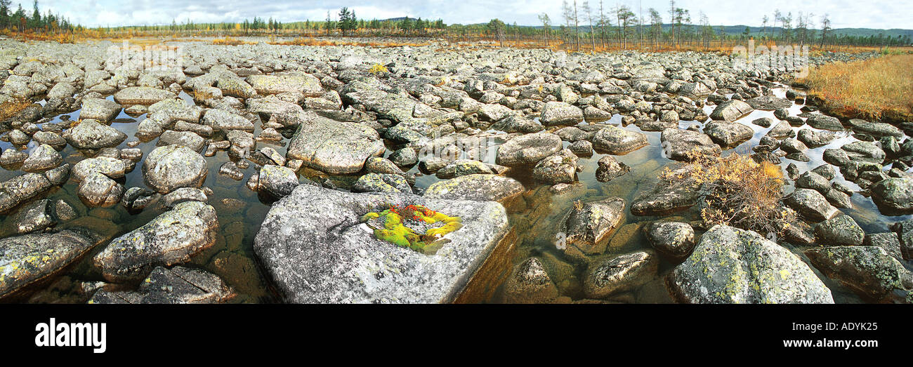 permafrost soil in autumn, horizontal stone scree with water between, Sweden, Norrbotten, Arvidsjaur, Sep 02. Stock Photo