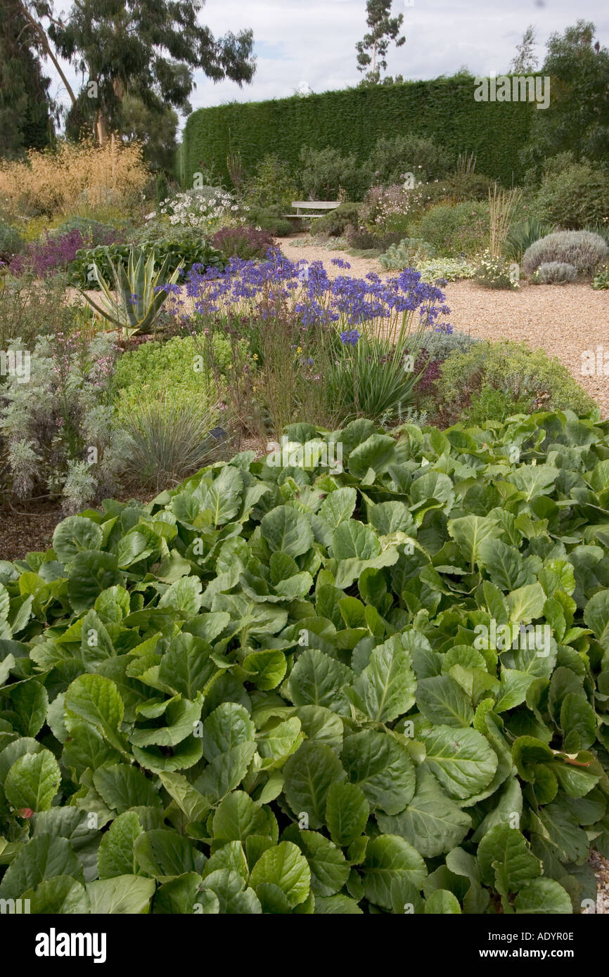Corner of The Beth Chatto Gardens Elmstead Market near Colchester Essex