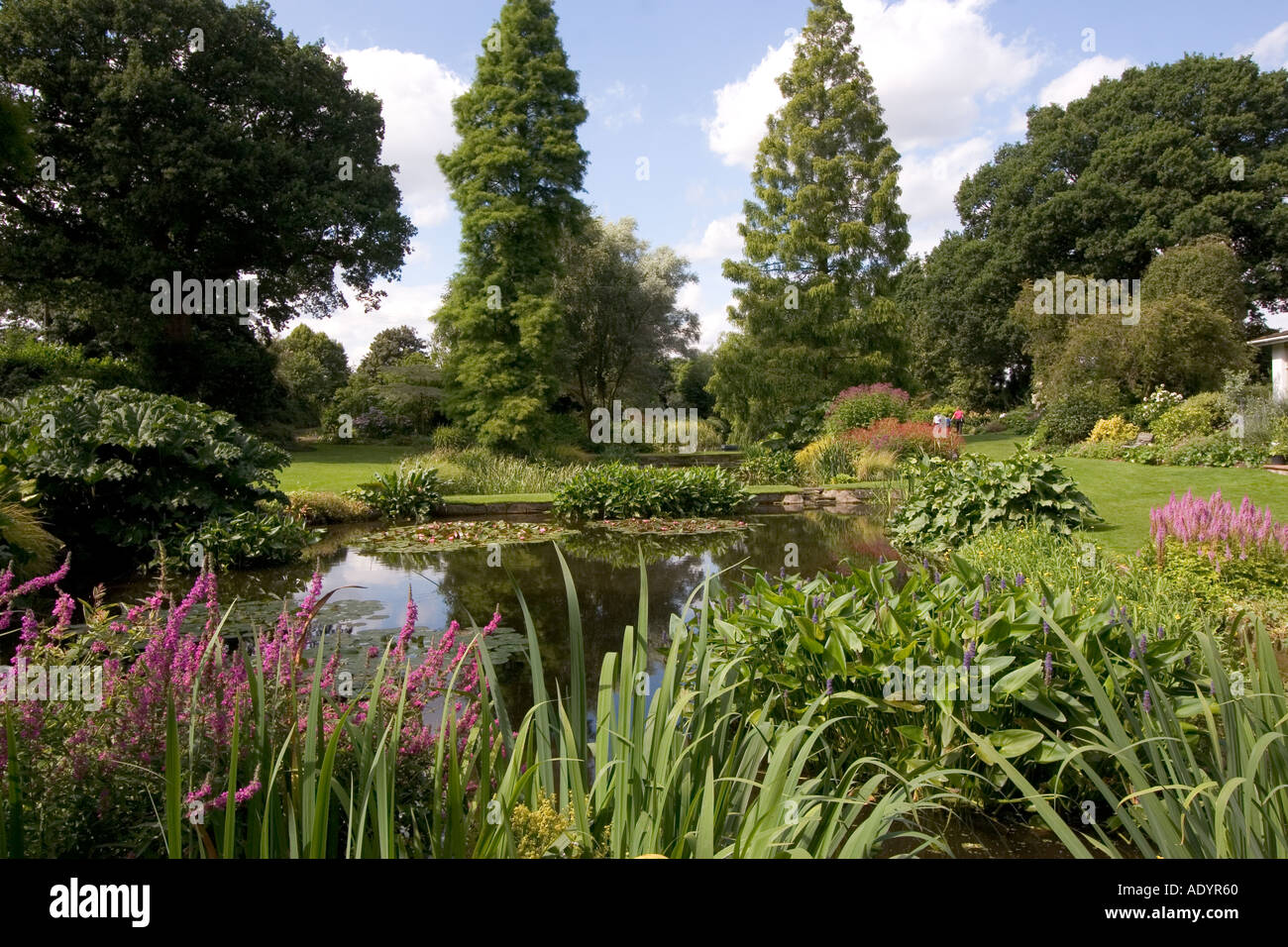 The Beth Chatto Gardens Elmstead Market near Colchester Essex GB UK